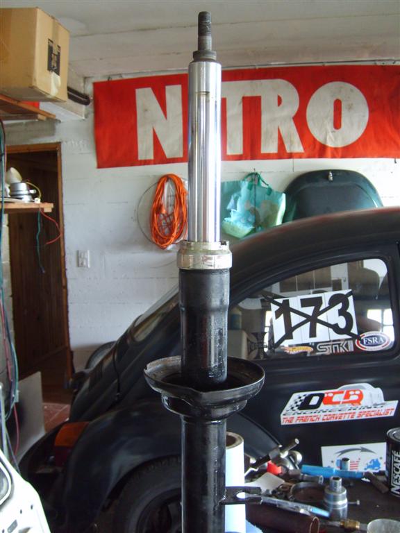 ammortos 008 (Large).jpg